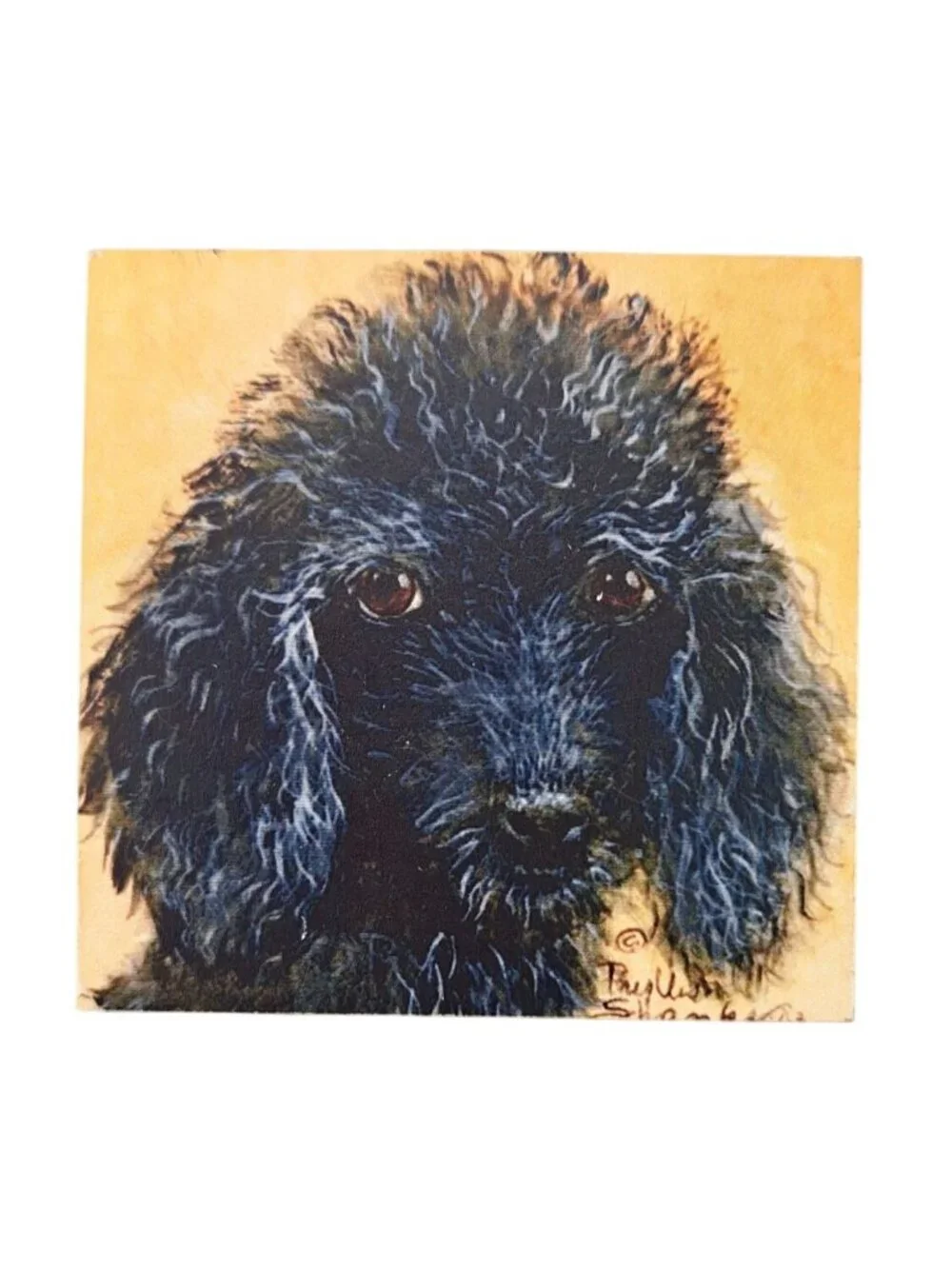 Vintage Black Poodle Square Magnet Dog Puppy Portrait Art Curly Hair French